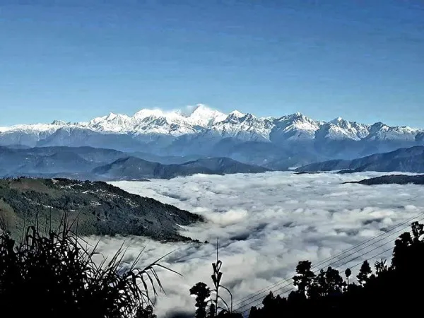 photo-of-dawaipani