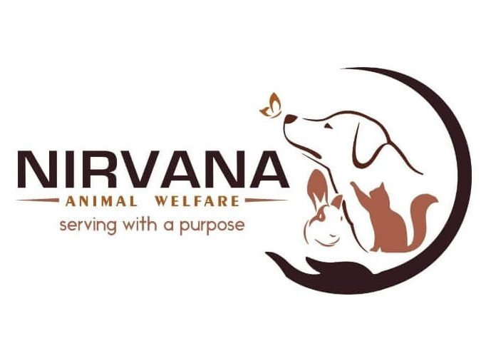 nirvana logo