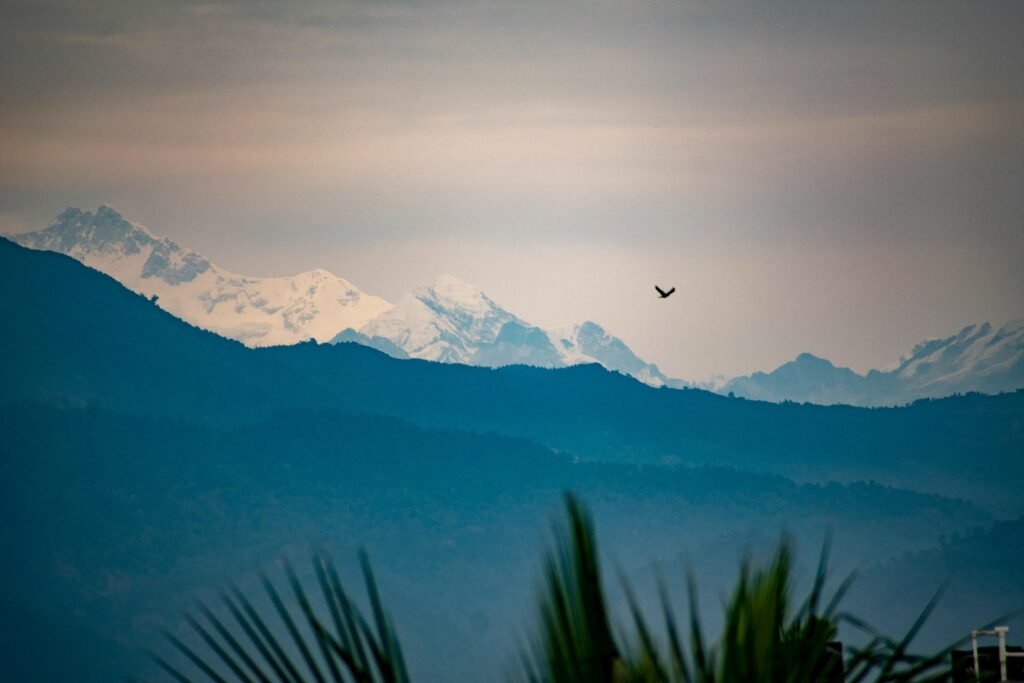 a scenery of siliguri