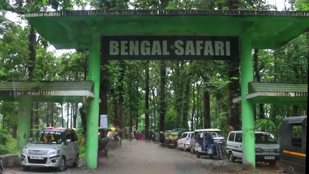 bengal safari front view