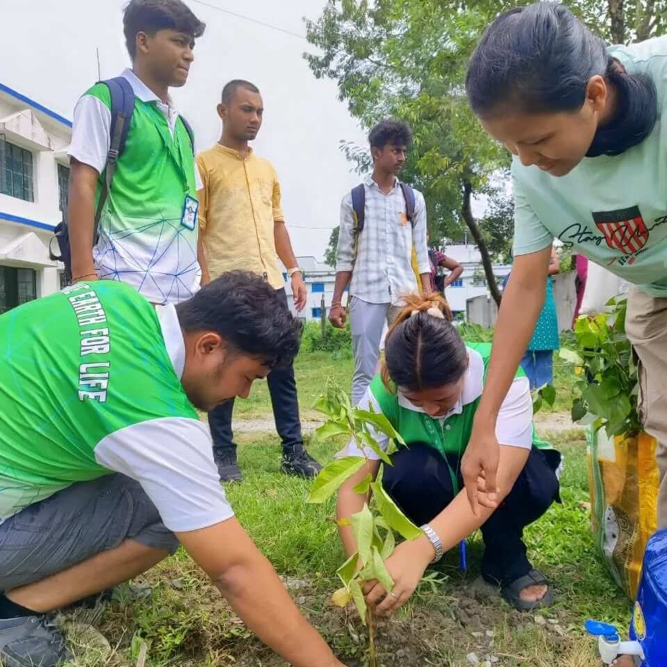 volunteers planting a tree sapling
